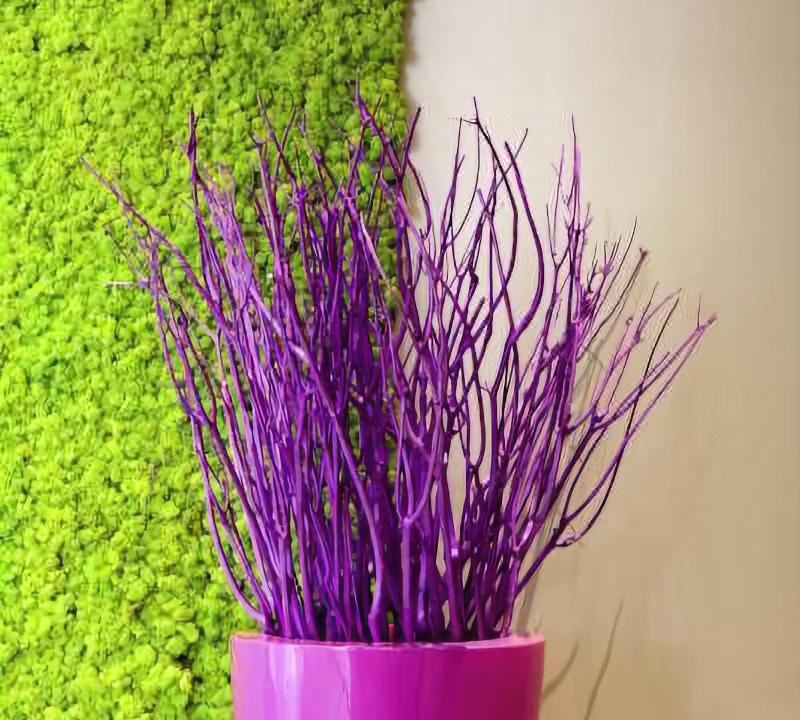 Photo of Others in Montelimar