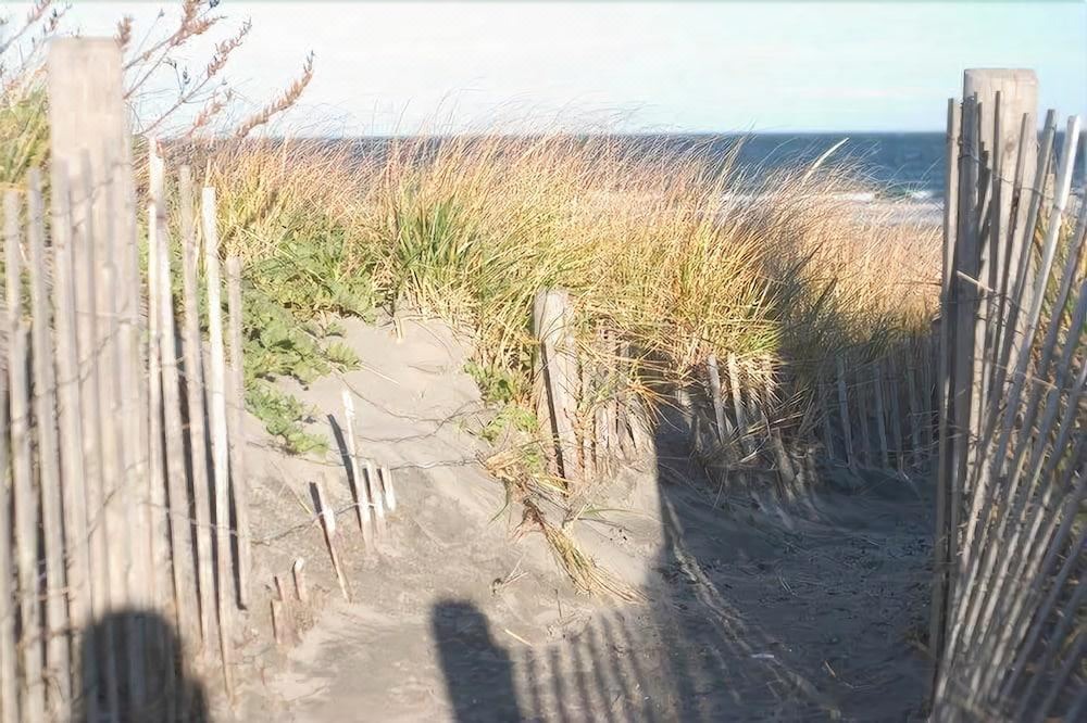 Photo of Others in Hull