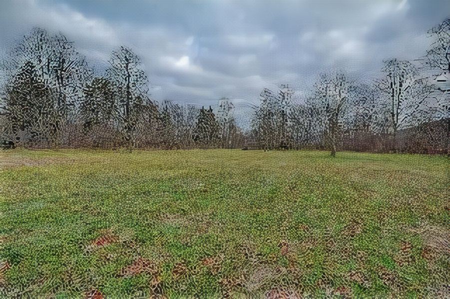 Photo of Others in Putney