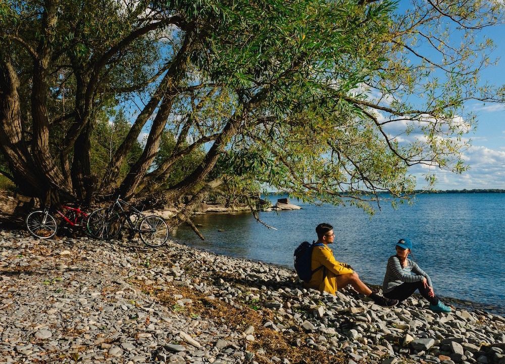 Photo of Others in Kingston