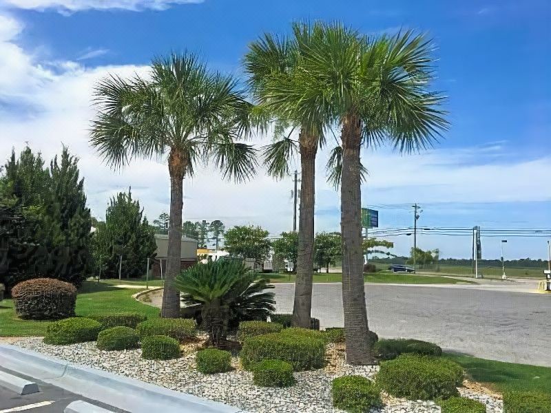 Photo of Outdoor in Douglas