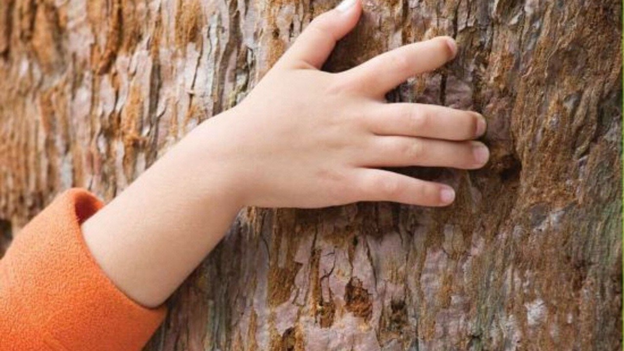 Photo of Bedroom in Nemours