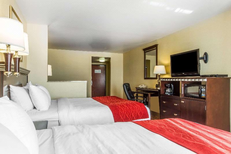 Photo of Others in Nut Tree