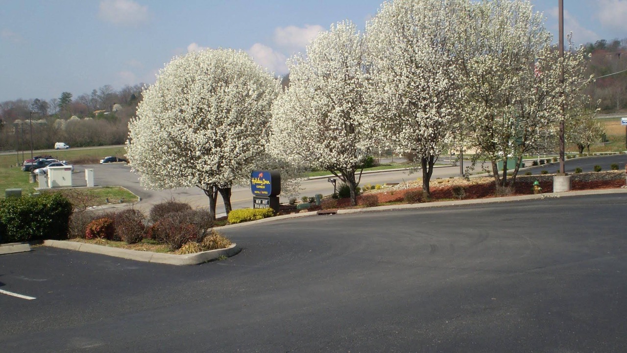 Photo of Buildings in Powell