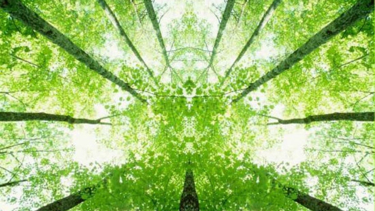 Photo of Others in Nemours