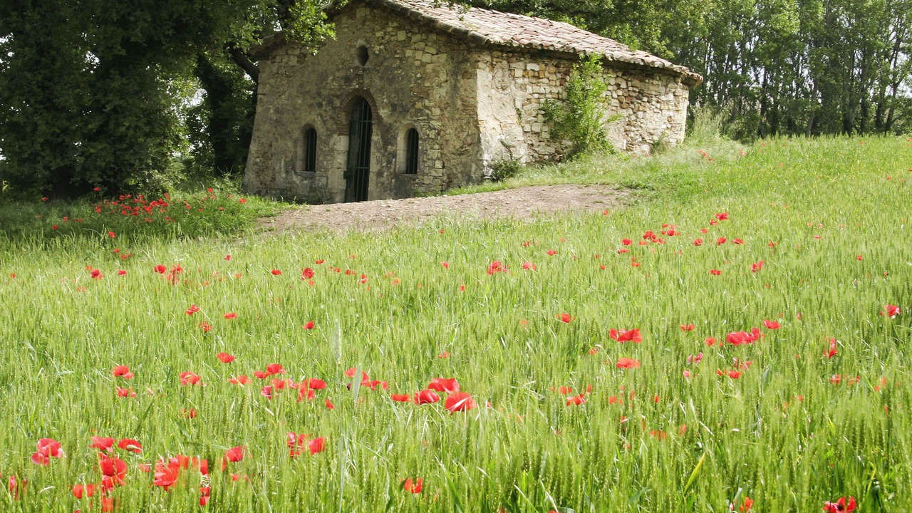 Photo of Buildings in Montelimar