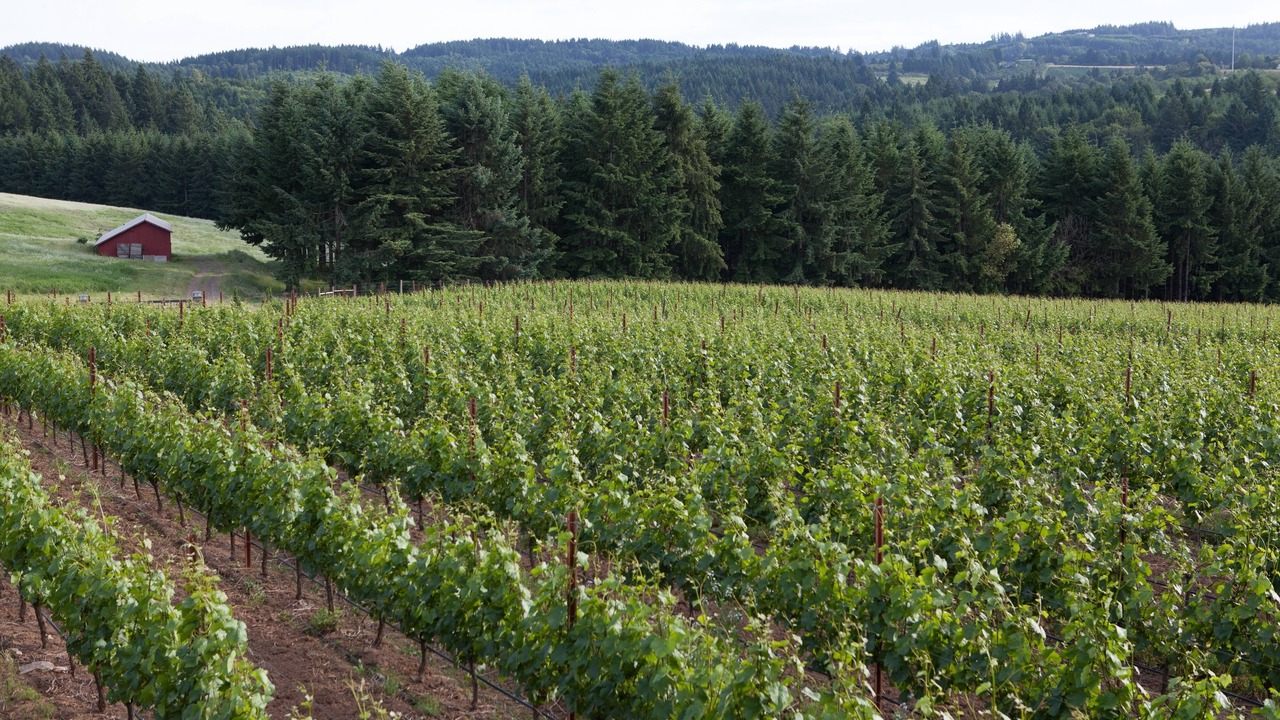 Photo of Outdoor in Tigard