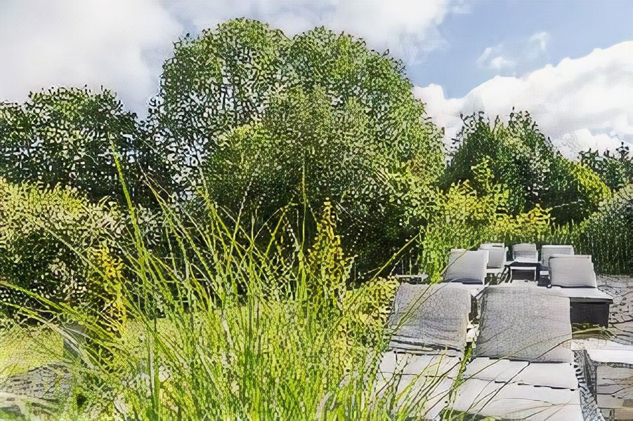 Photo of Others in Cricqueboeuf