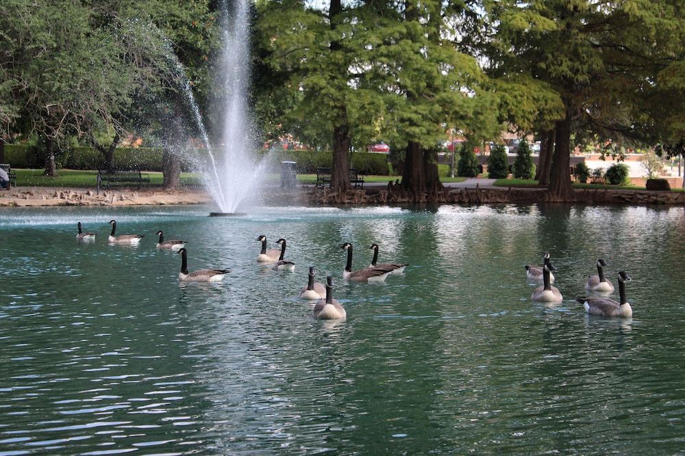 Photo of Others in Stillwater