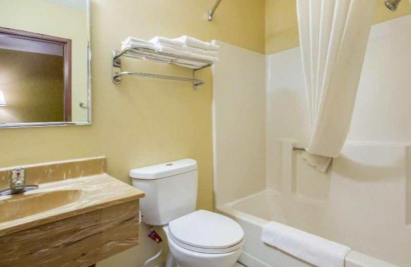 Photo of Bathroom in Lansing