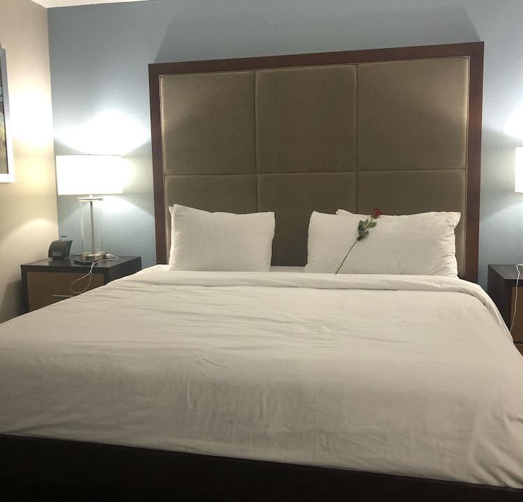 Photo of Bedroom in Edna