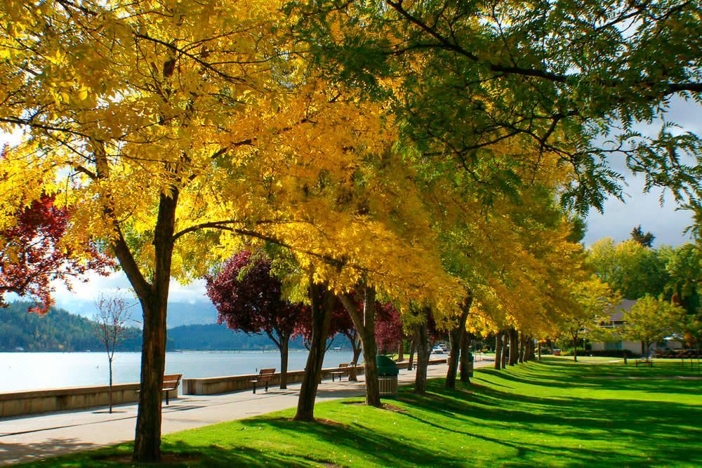 Photo of Outdoor in Coeur d'Alene