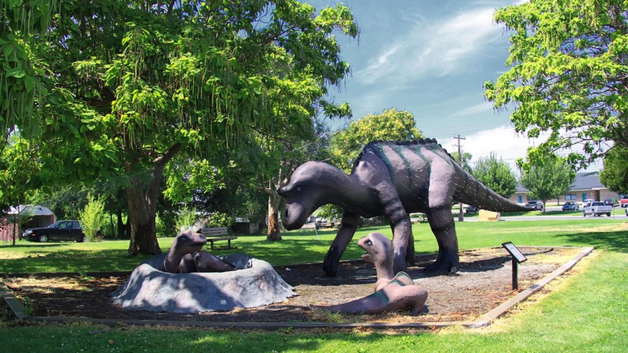 Photo of Others in Zillah