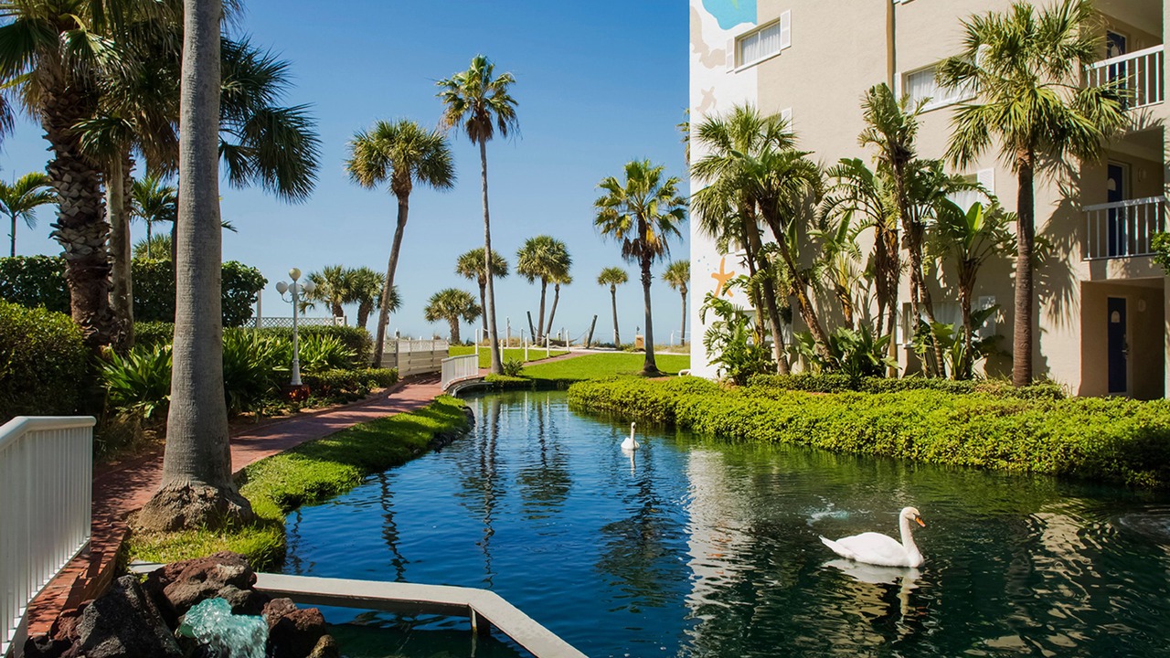Photo of Outdoor in St. Pete Beach