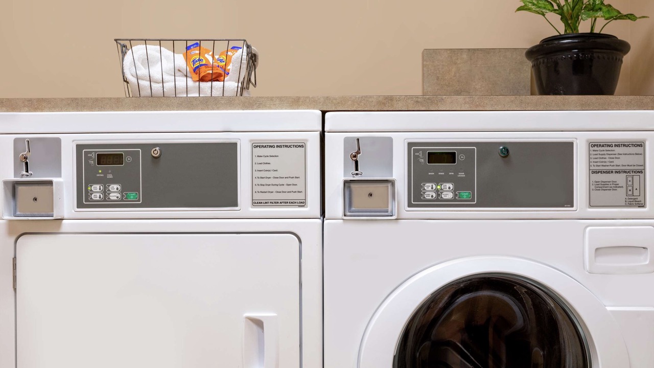 Photo of Others in Troy