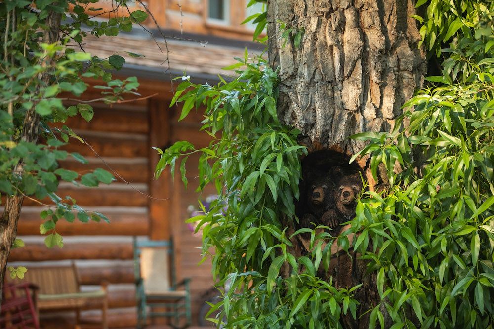 Photo of Others in Wilson