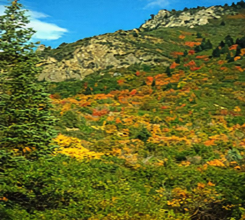 Photo of Outdoor in Provo