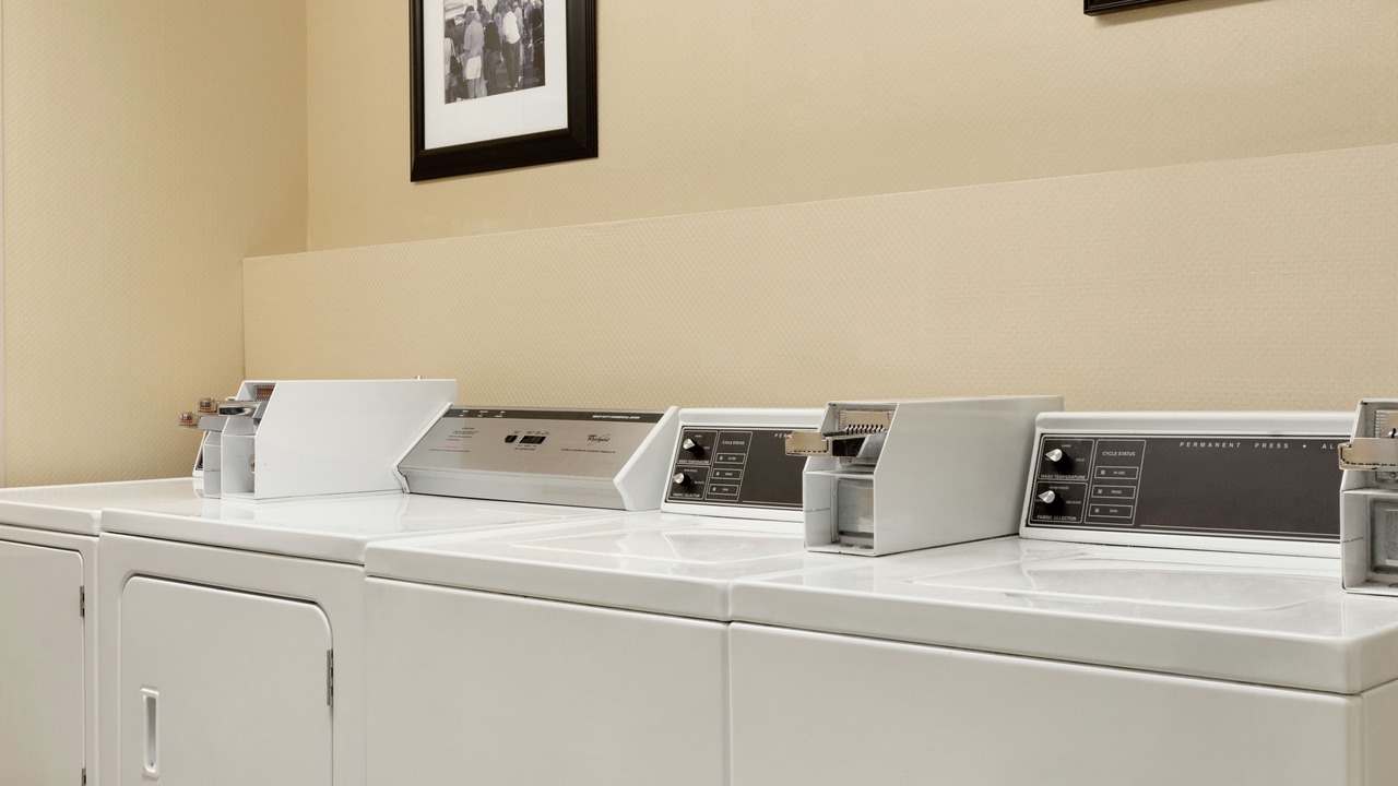 Photo of Others in Tarpon Springs