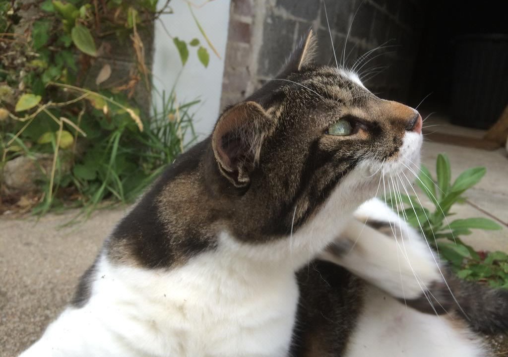 Photo of Others in Gueret