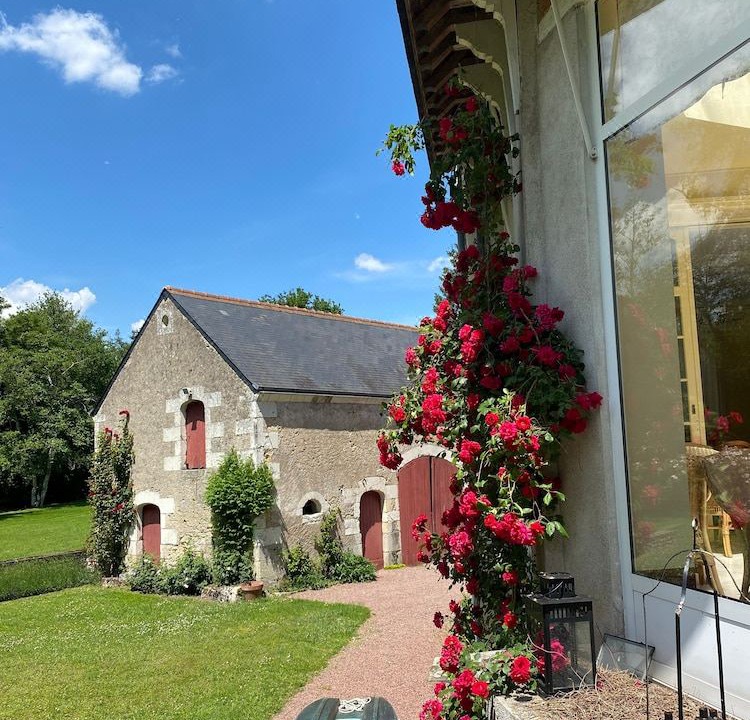 Photo of Buildings in Francueil