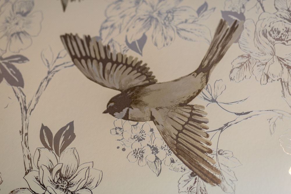 Photo of Others in Whitehaven