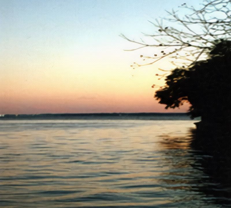 Photo of Outdoor in Thomson