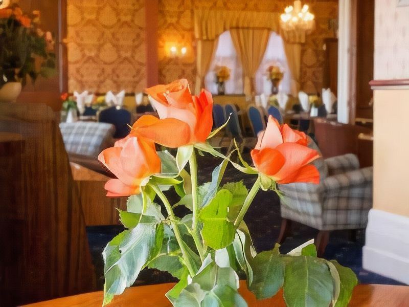 Photo of Livingroom in Great Yarmouth