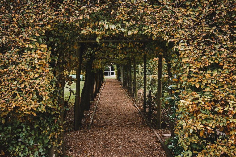 Photo of Others in Horley