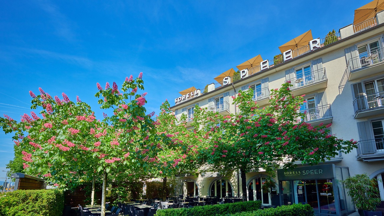 Photo of Buildings in Rapperswil