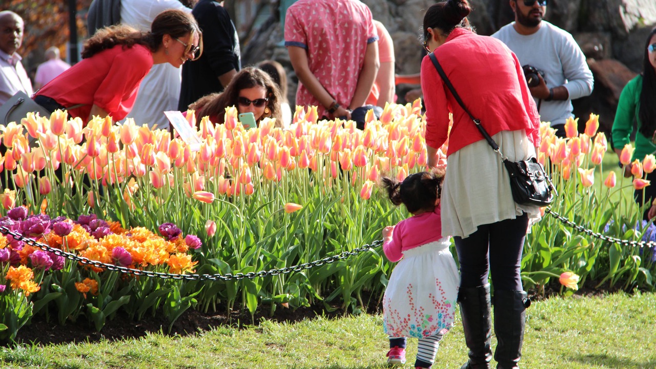 Photo of Others in Newtonville