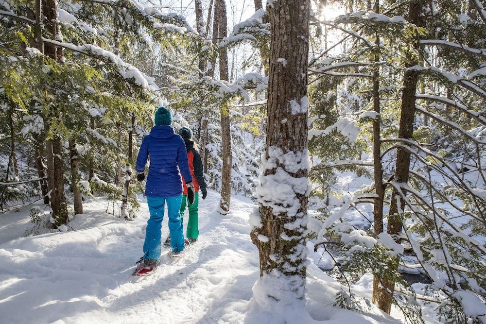 Photo of Buildings in Perinton