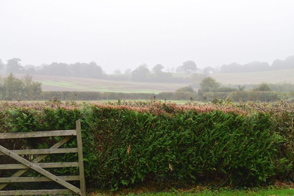 Photo of Others in Ramsden Heath