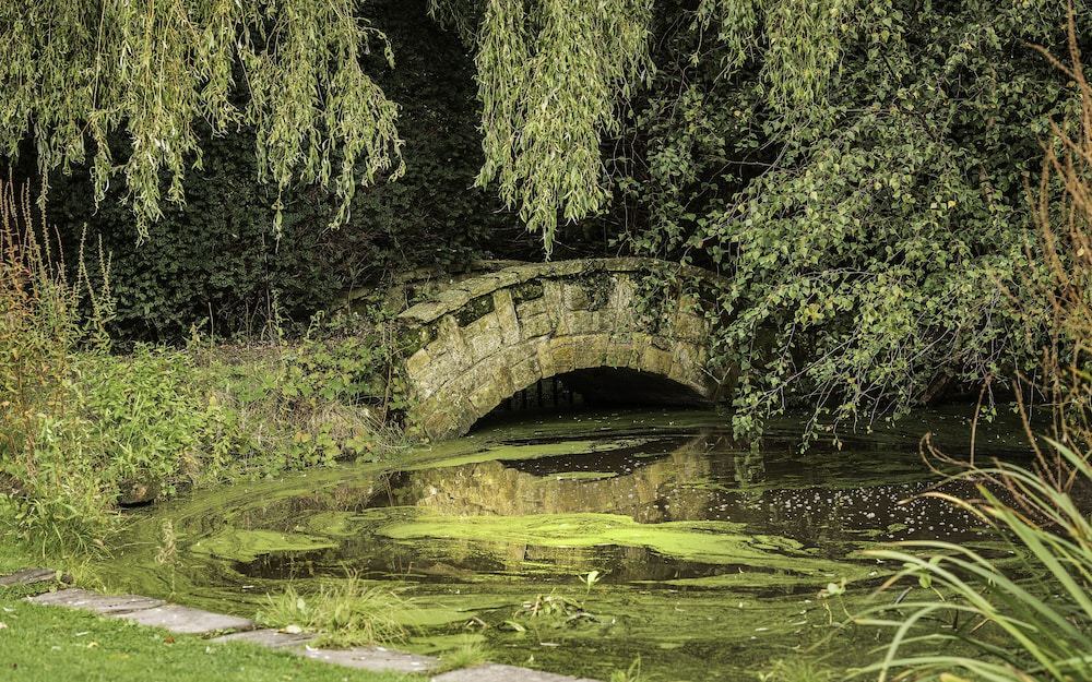 Photo of Outdoor in Horley