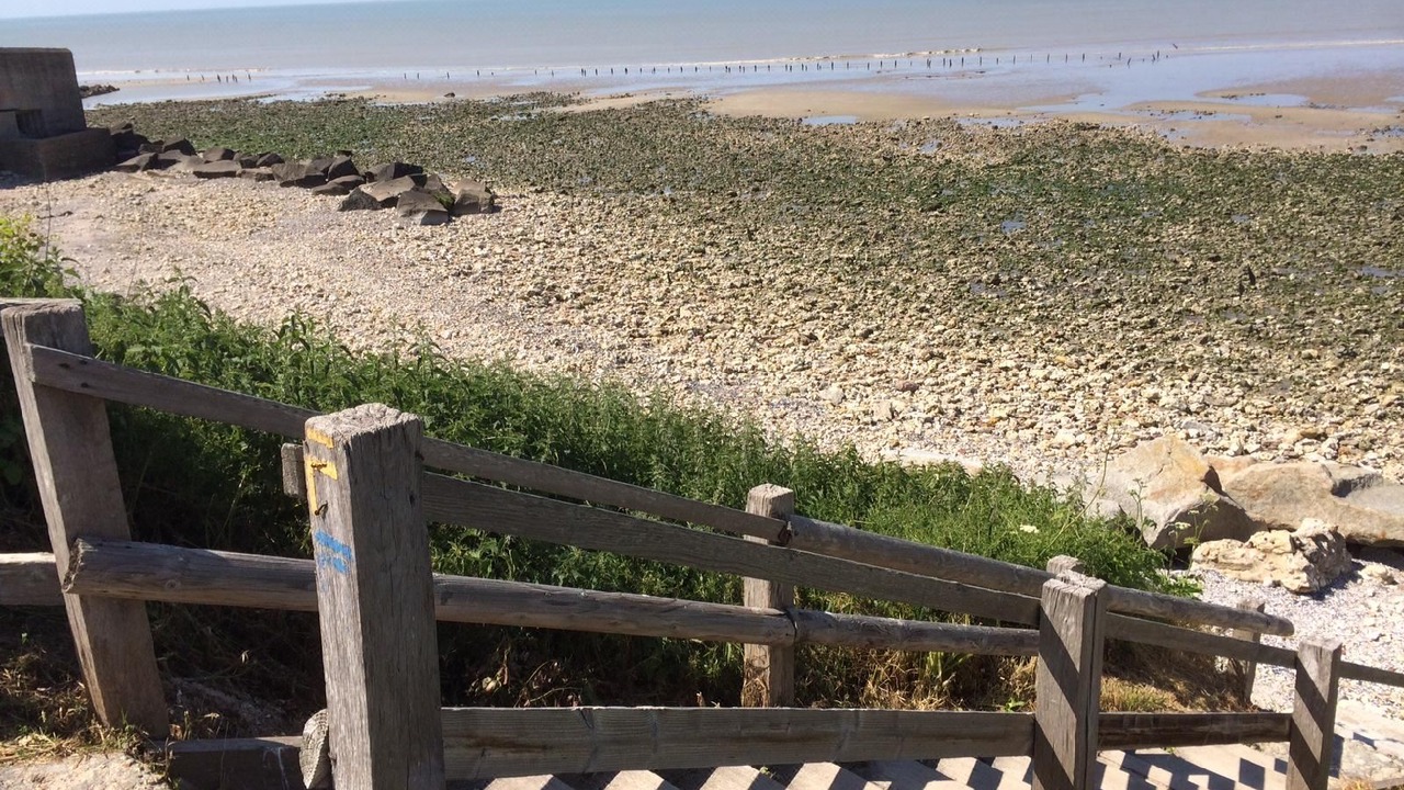 Photo of Others in Cricqueboeuf