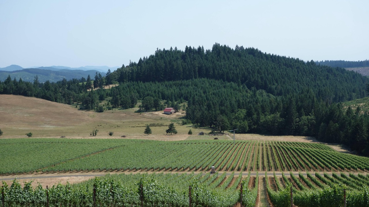 Photo of Outdoor in Cal Young