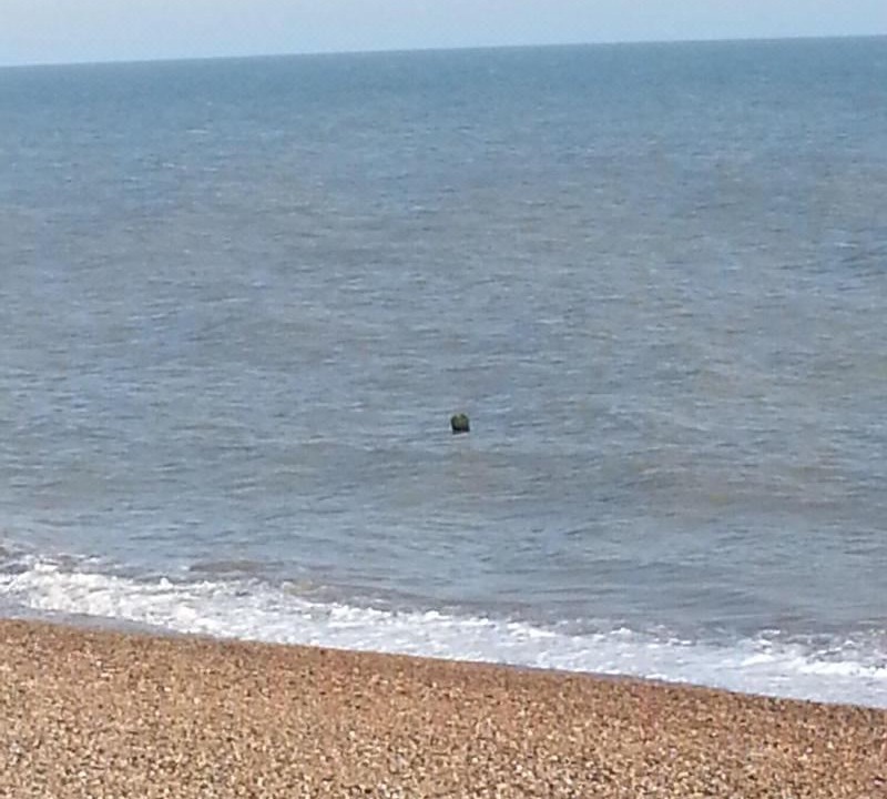 Photo of Outdoor in Dover