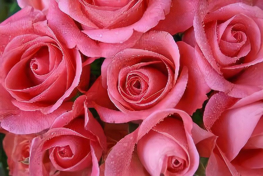 Photo of Others in Princeton