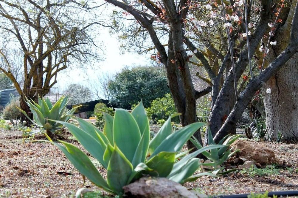 Photo of Others in Upper Wakefield