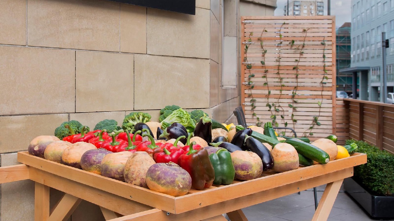 Photo of Patio Balcony in Euston