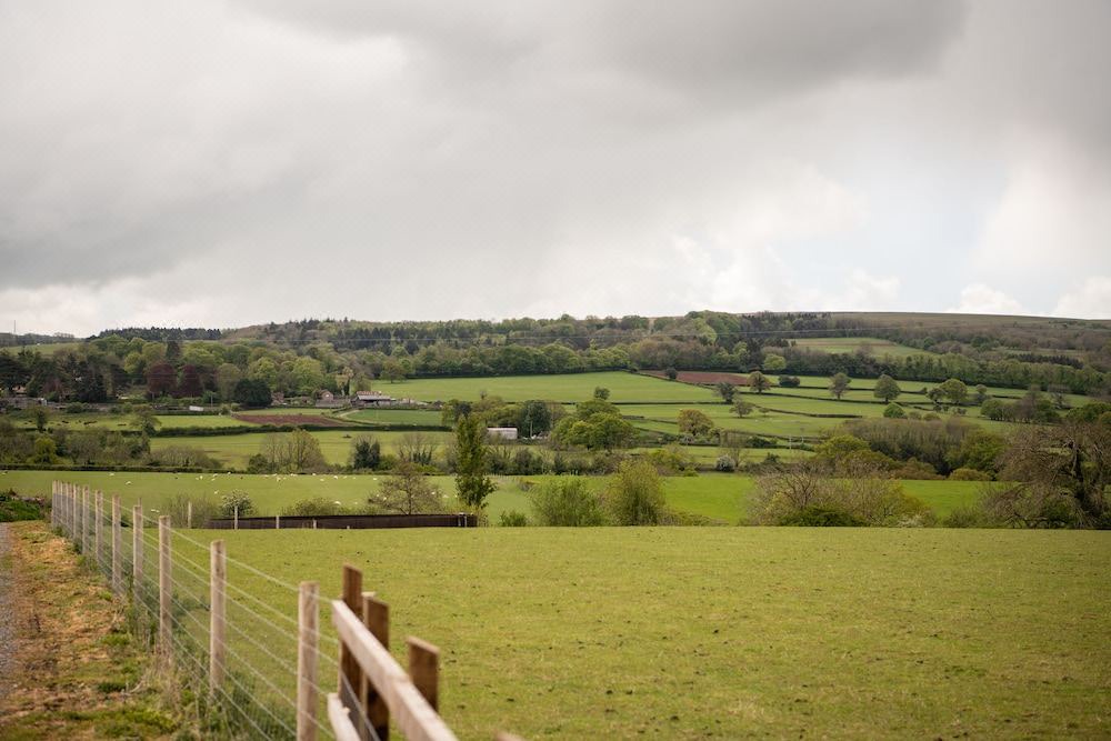 Photo of Others in Langford