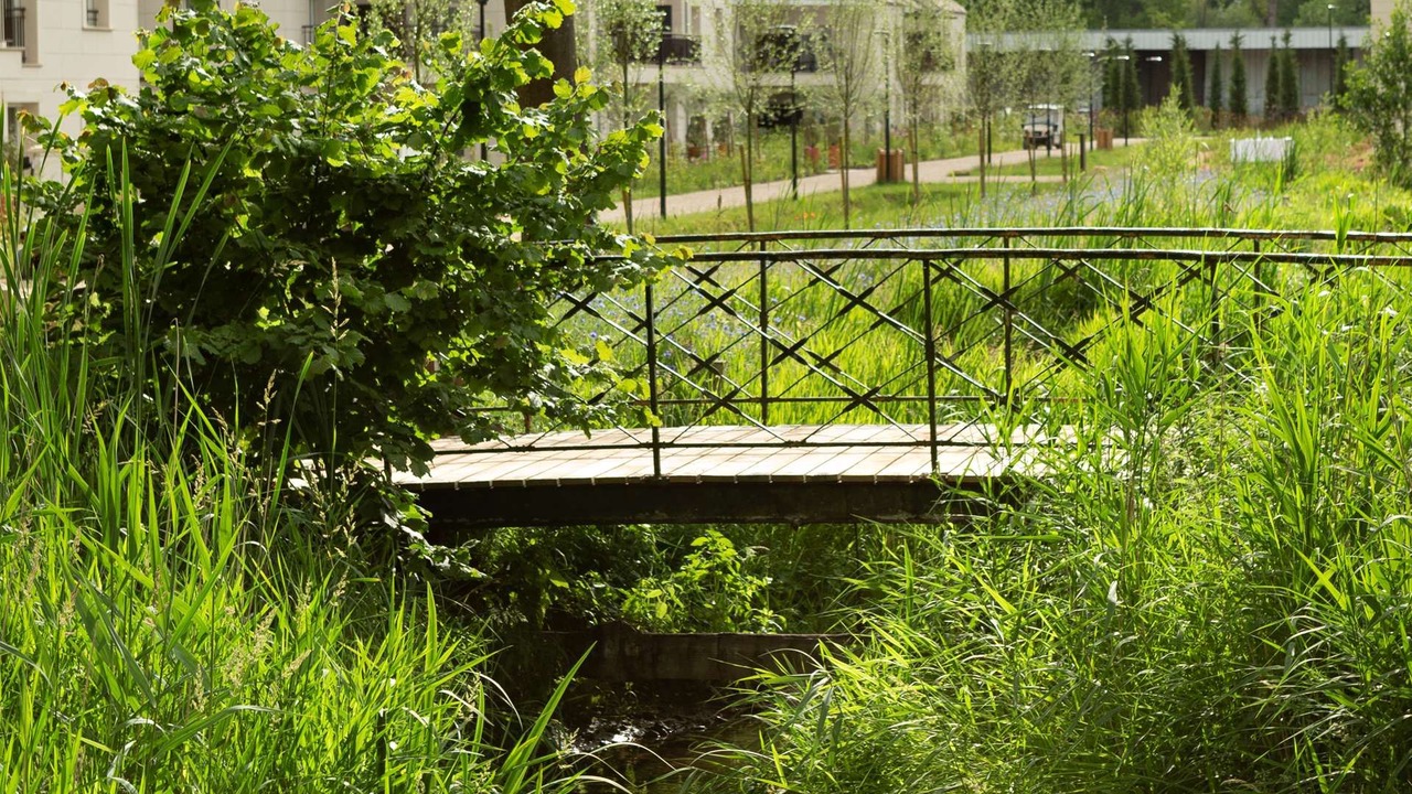 Photo of Others in Vineuil-Saint-Firmin