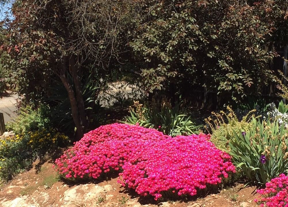 Photo of Others in Upper Wakefield