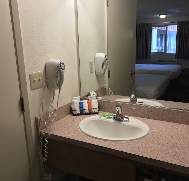 Photo of Others in Cornwall Park