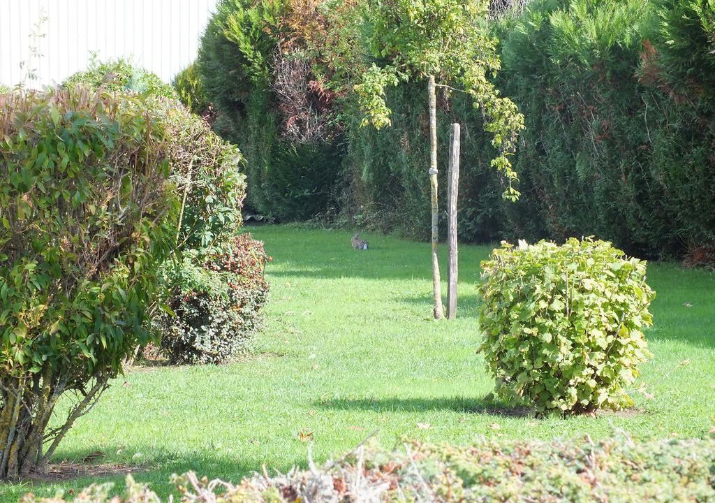 Photo of Outdoor in Gien