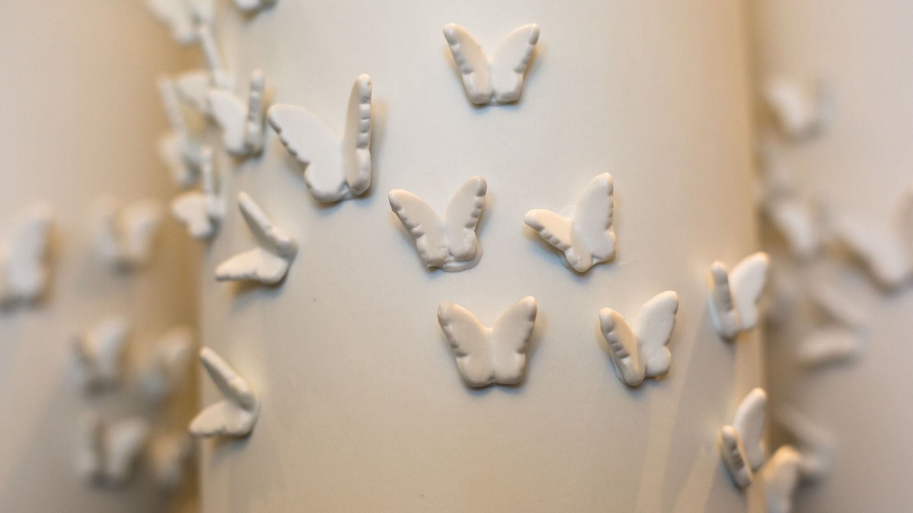 Photo of Others in Avignon City Centre