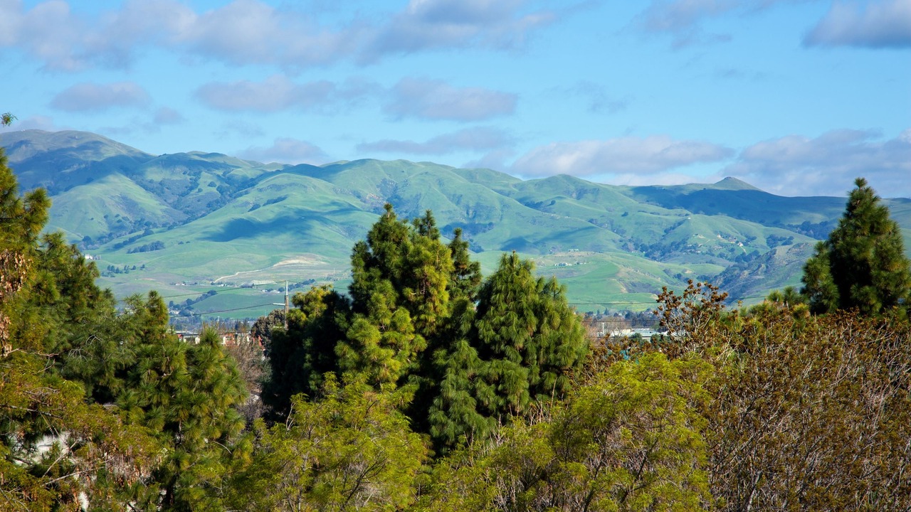 Photo of Outdoor in Milpitas