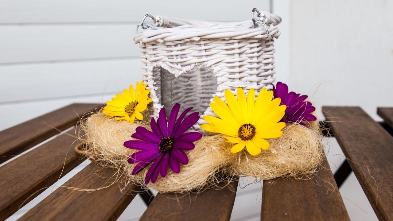 Photo of Others in Little Holland