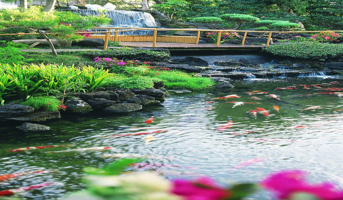 Photo of Others in Ala Moana