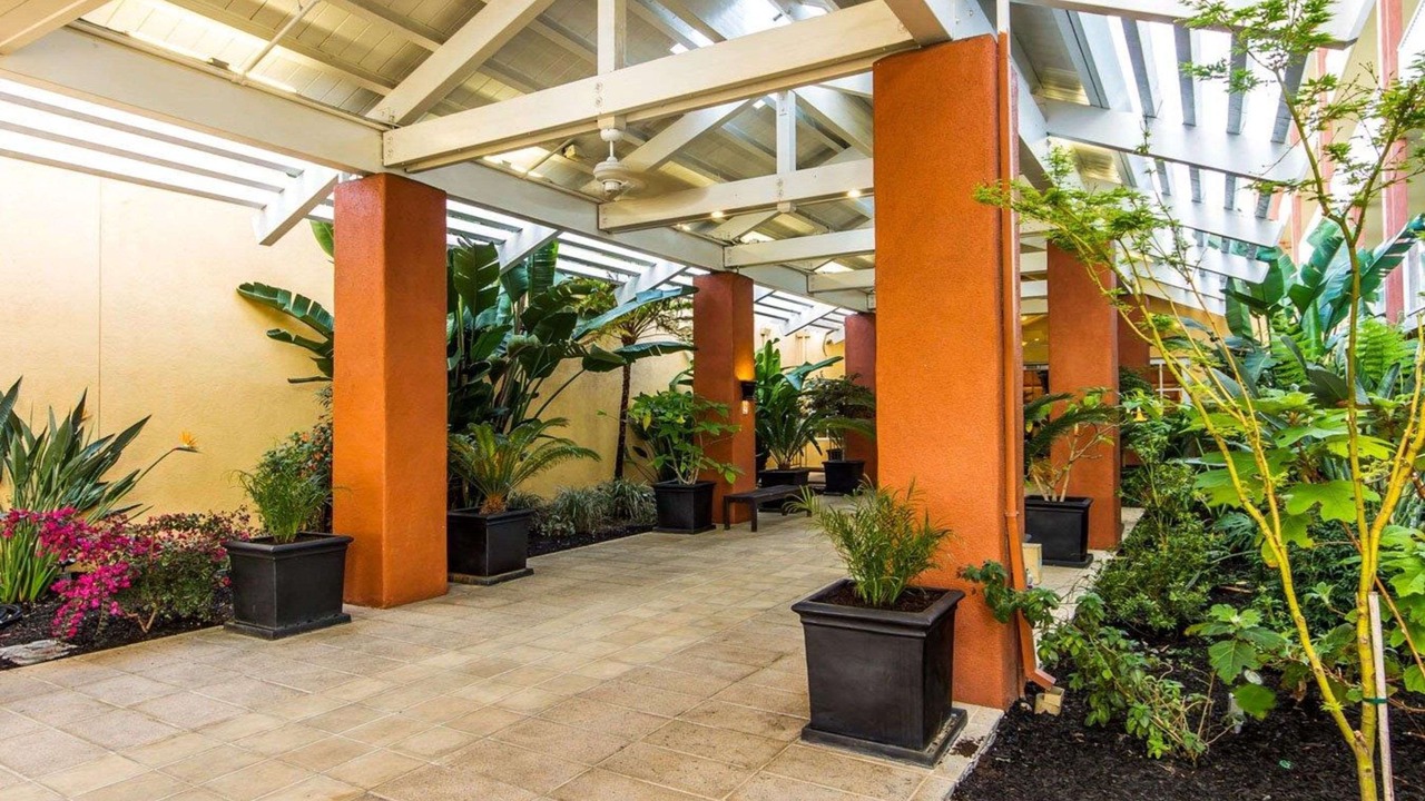 Photo of Others in Concord