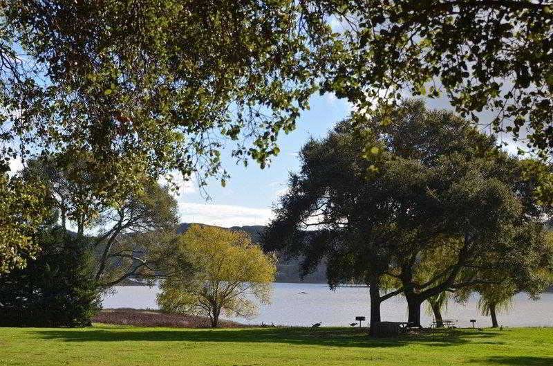 Photo of Buildings in Novato